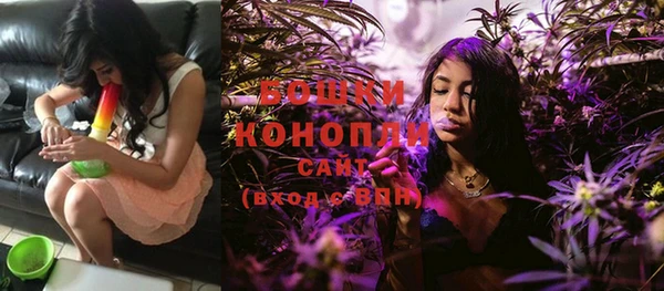 PSILOCYBIN Карталы
