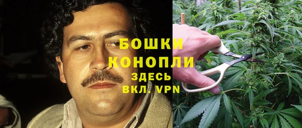 гидра Карпинск